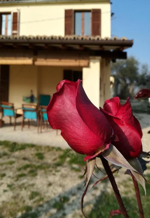 B&B Conca Del Pretore Loreto Aprutino Bagian luar foto