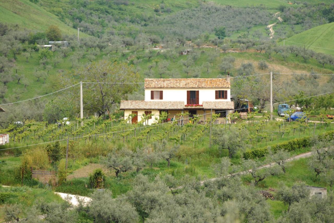 B&B Conca Del Pretore Loreto Aprutino Bagian luar foto