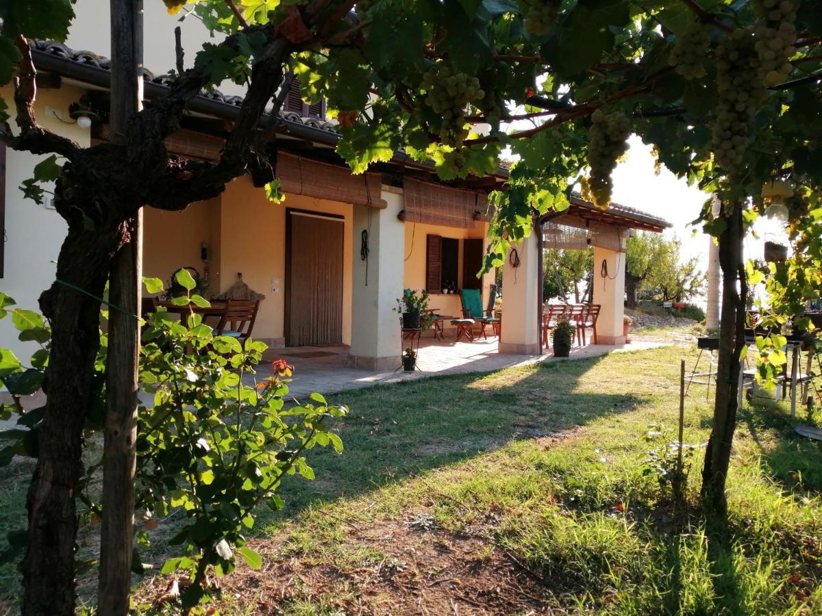 B&B Conca Del Pretore Loreto Aprutino Bagian luar foto