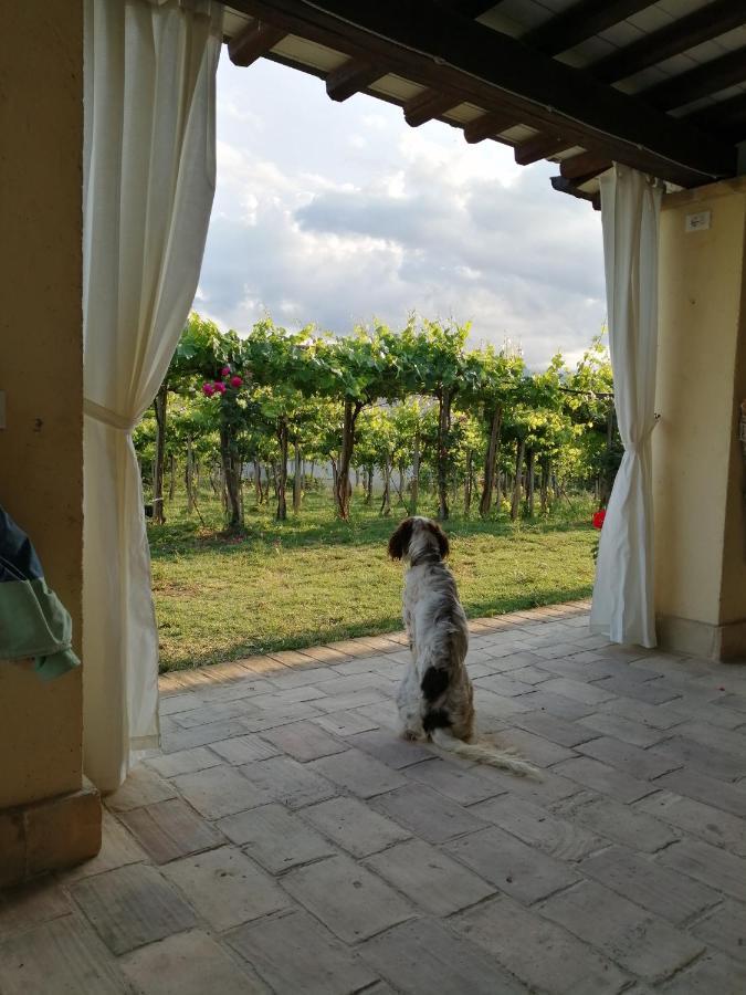B&B Conca Del Pretore Loreto Aprutino Bagian luar foto
